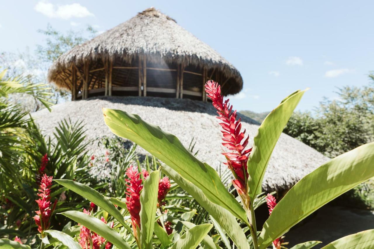 Dreamsea Surf Resort Nicaragua San Juan del Sur Dış mekan fotoğraf